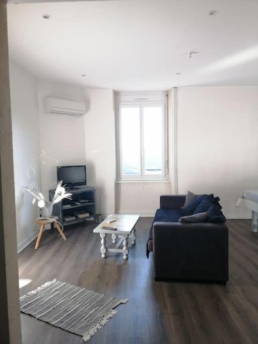 Appartement Au Calme ロデーズ エクステリア 写真